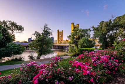 bridge in Sacramento with flowers in the foreground